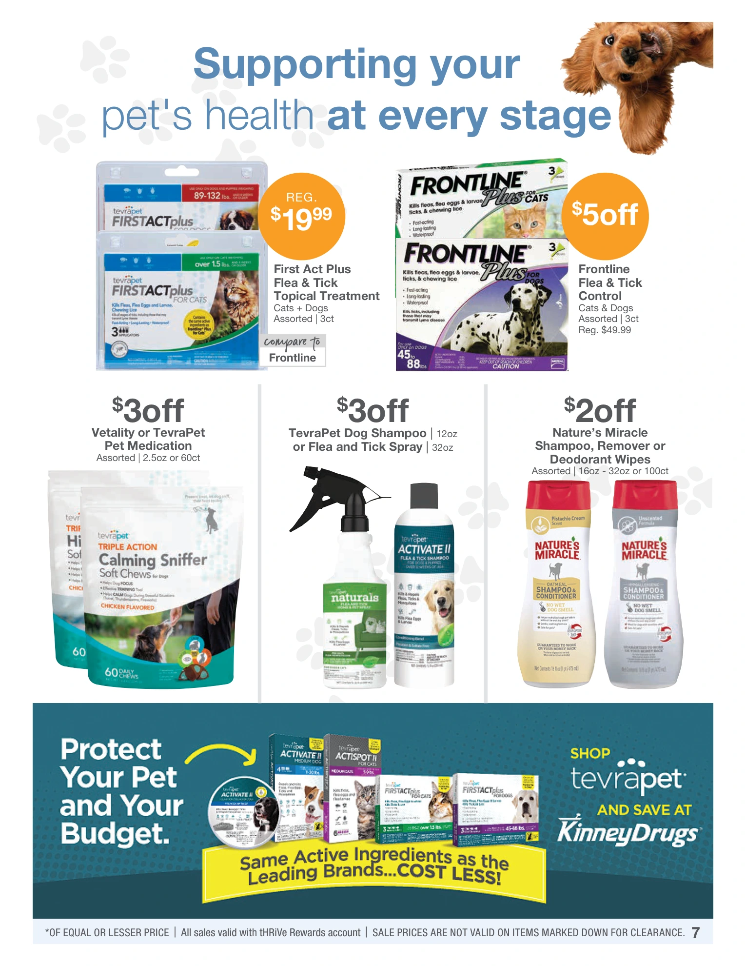 Flyer page 7