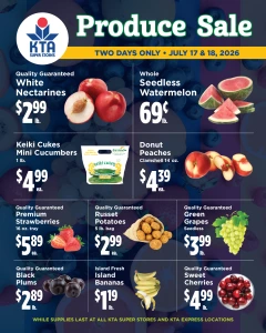 Flyer page 2