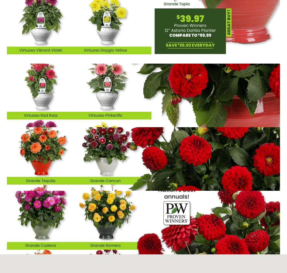 Flyer page 11