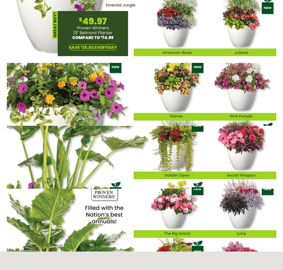 Flyer page 12