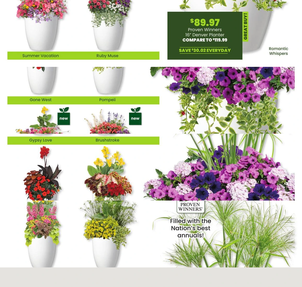 Flyer page 13