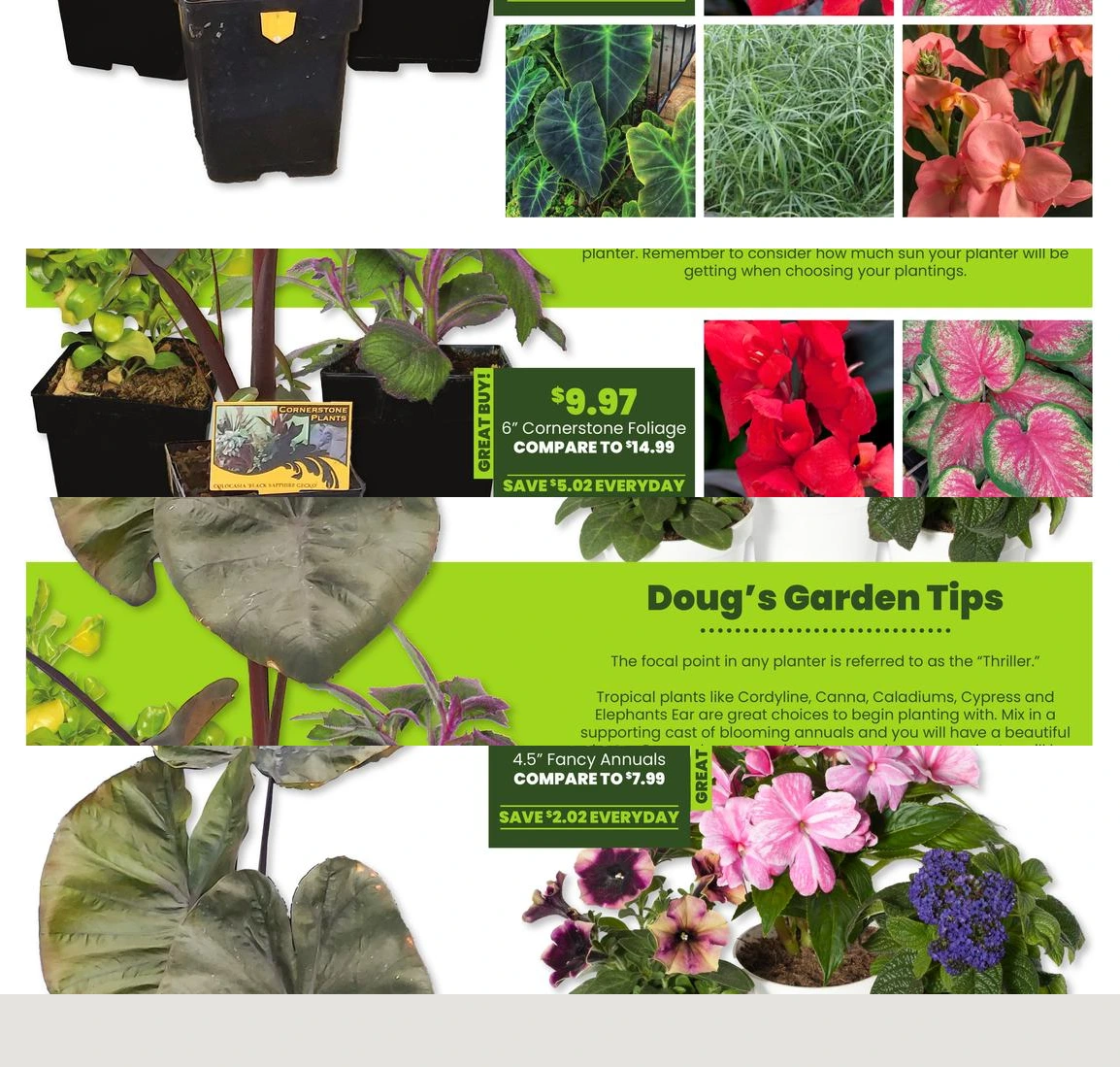 Flyer page 15