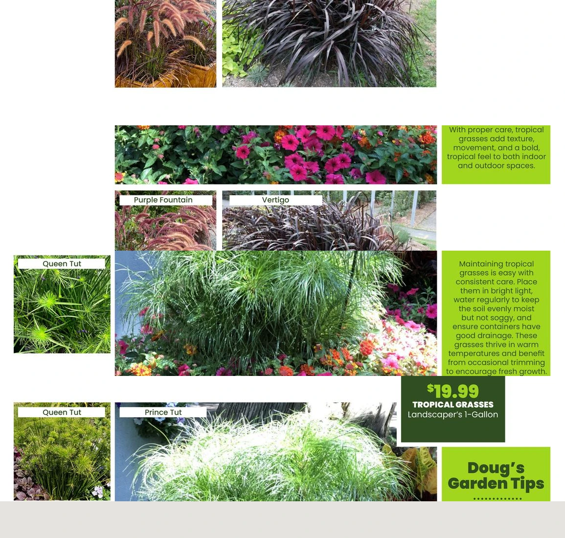 Flyer page 17
