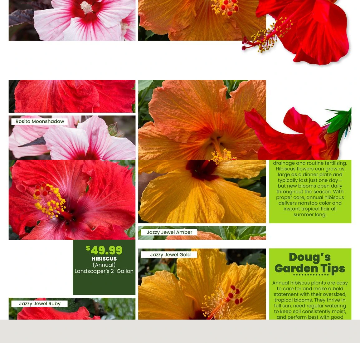Flyer page 18