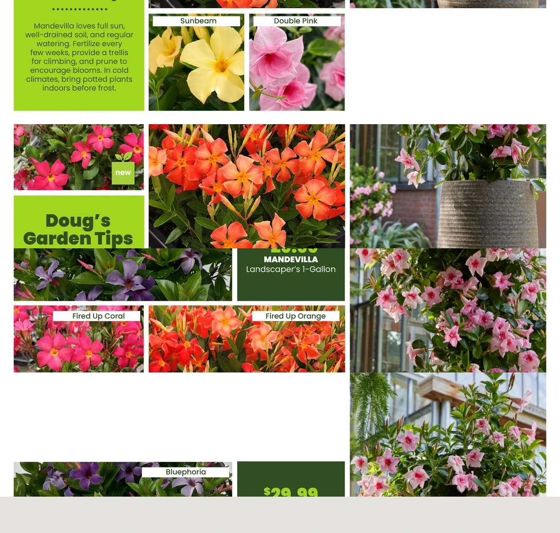 Flyer page 19