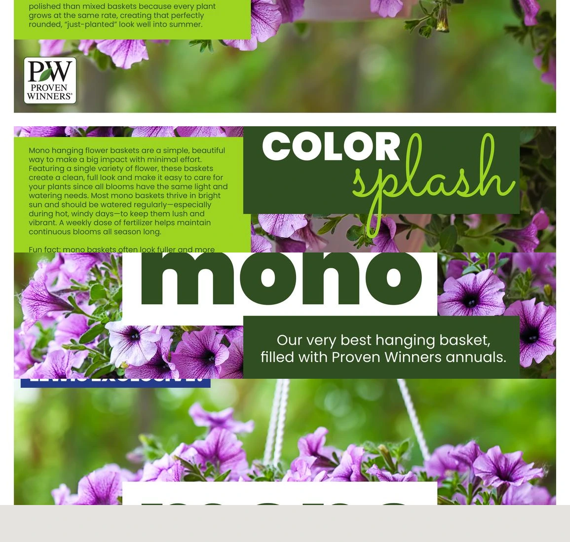 Flyer page 2