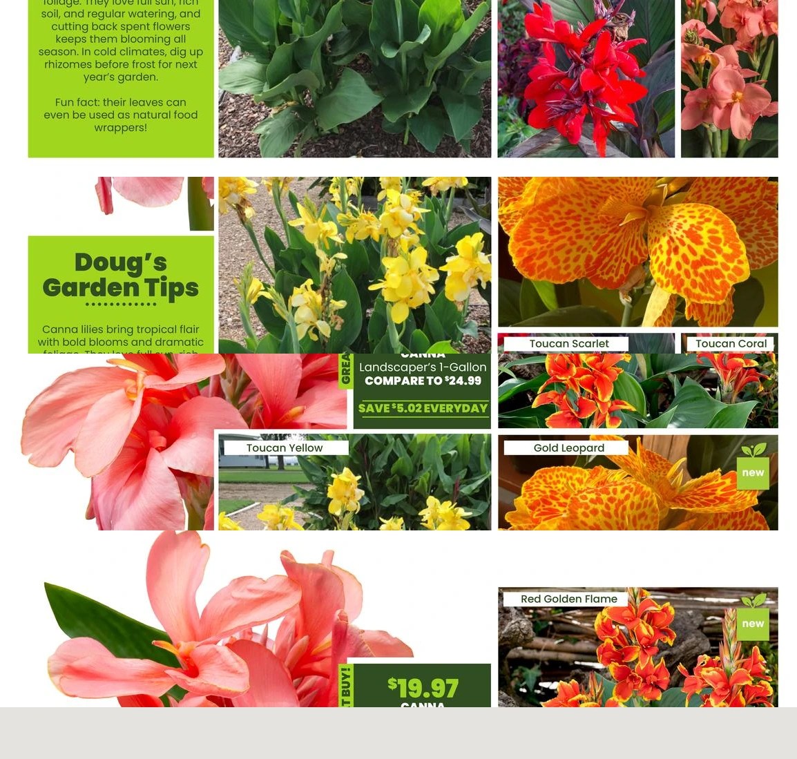 Flyer page 20