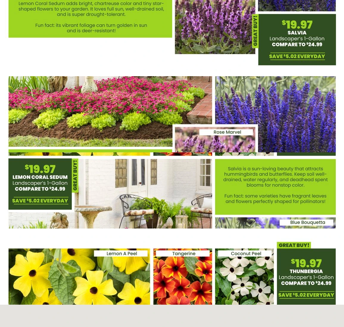 Flyer page 21