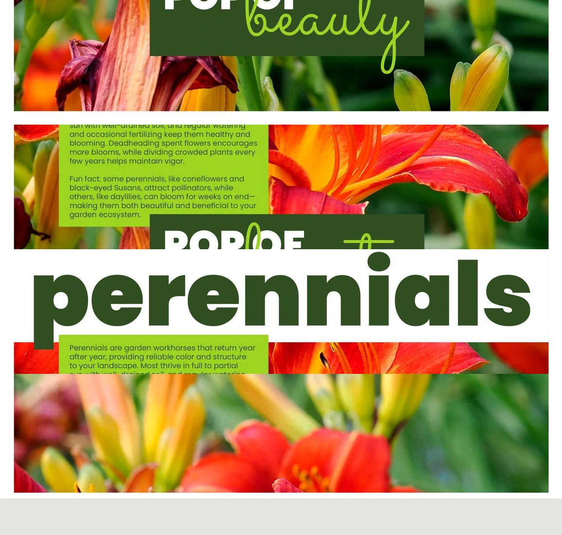 Flyer page 24