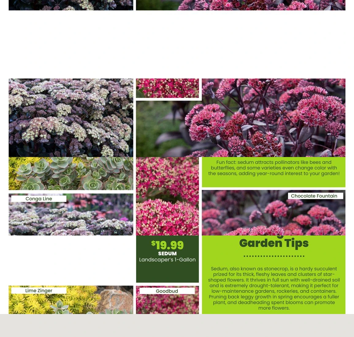 Flyer page 28
