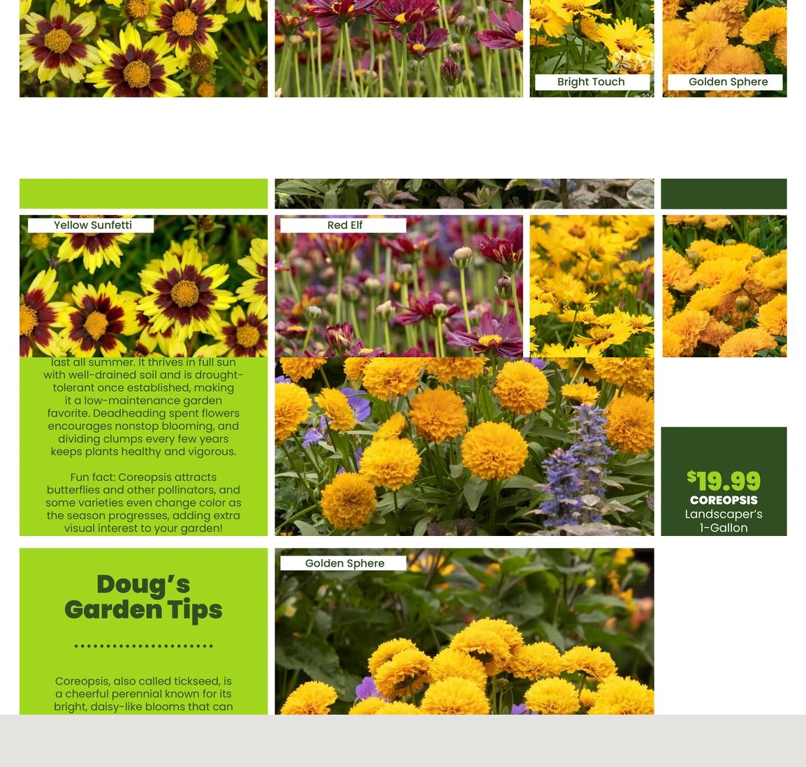Flyer page 29