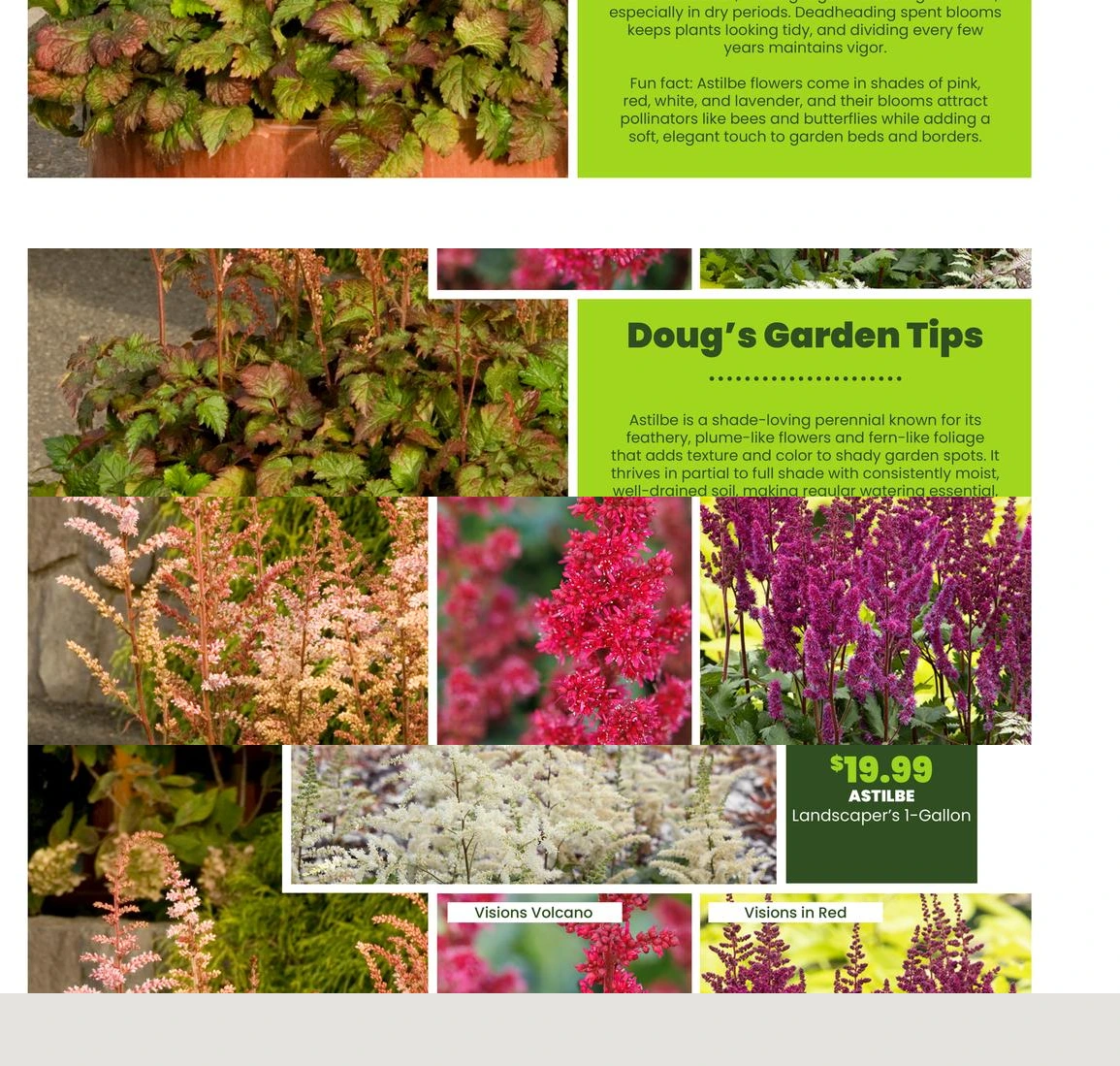 Flyer page 30