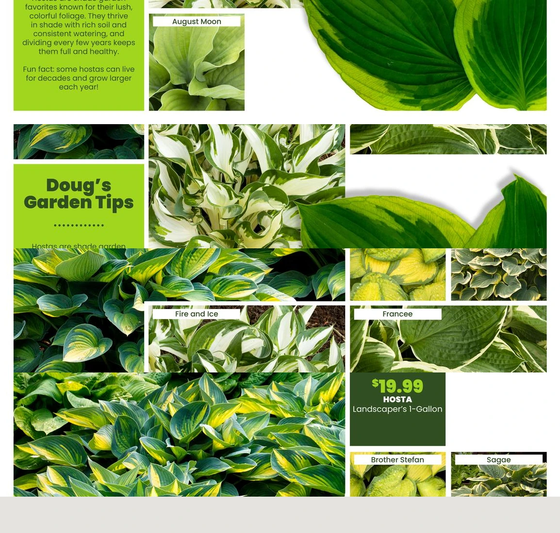 Flyer page 32