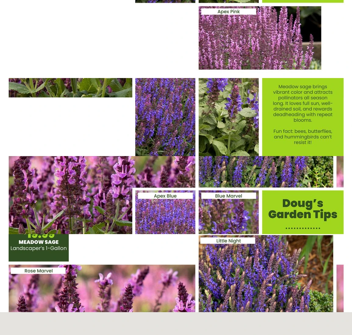 Flyer page 33