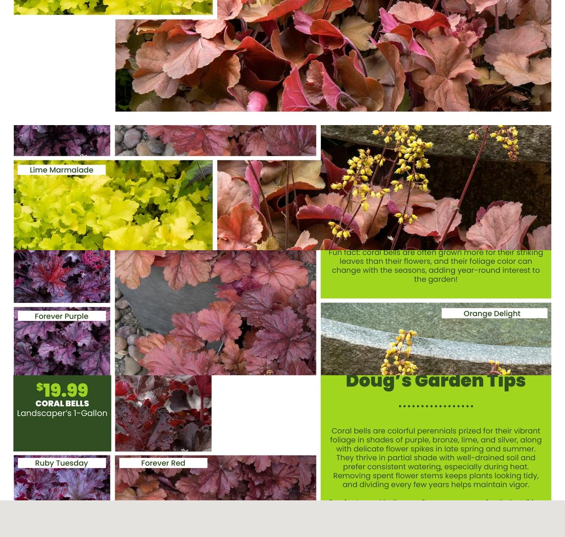 Flyer page 34