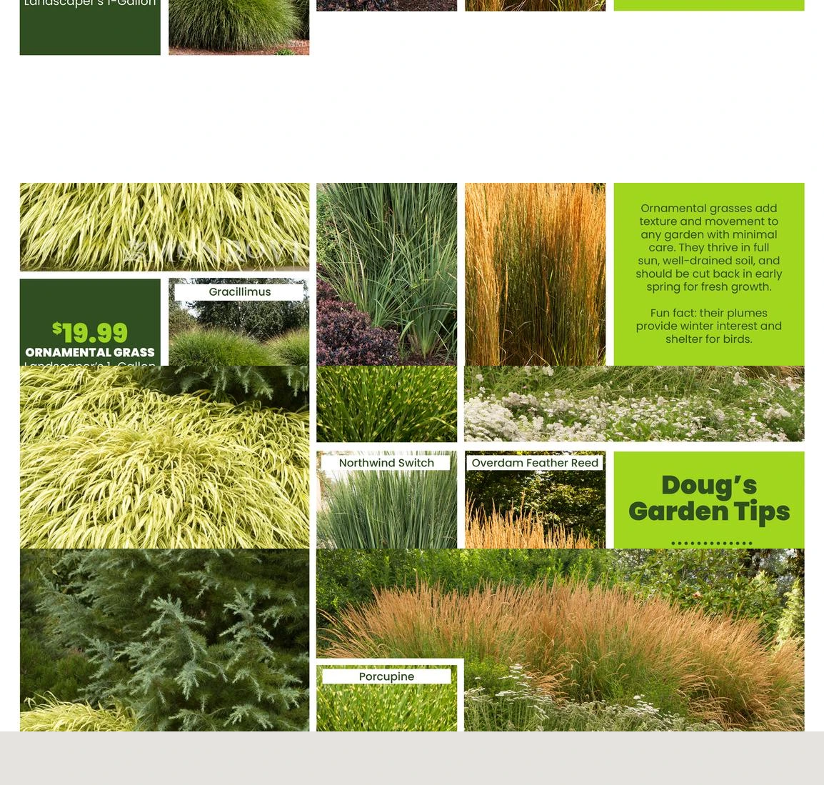Flyer page 35