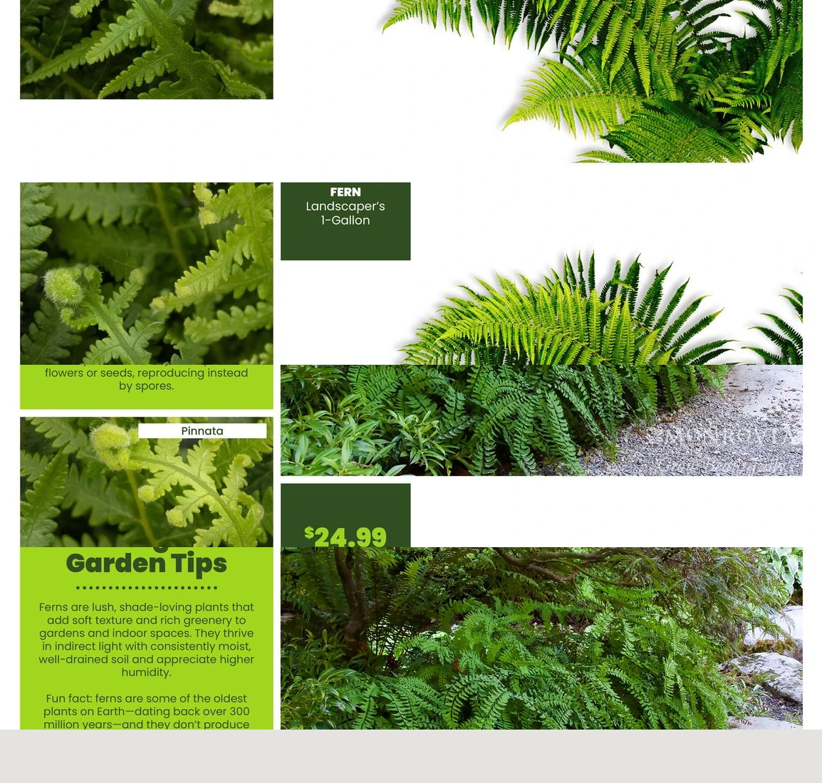Flyer page 37