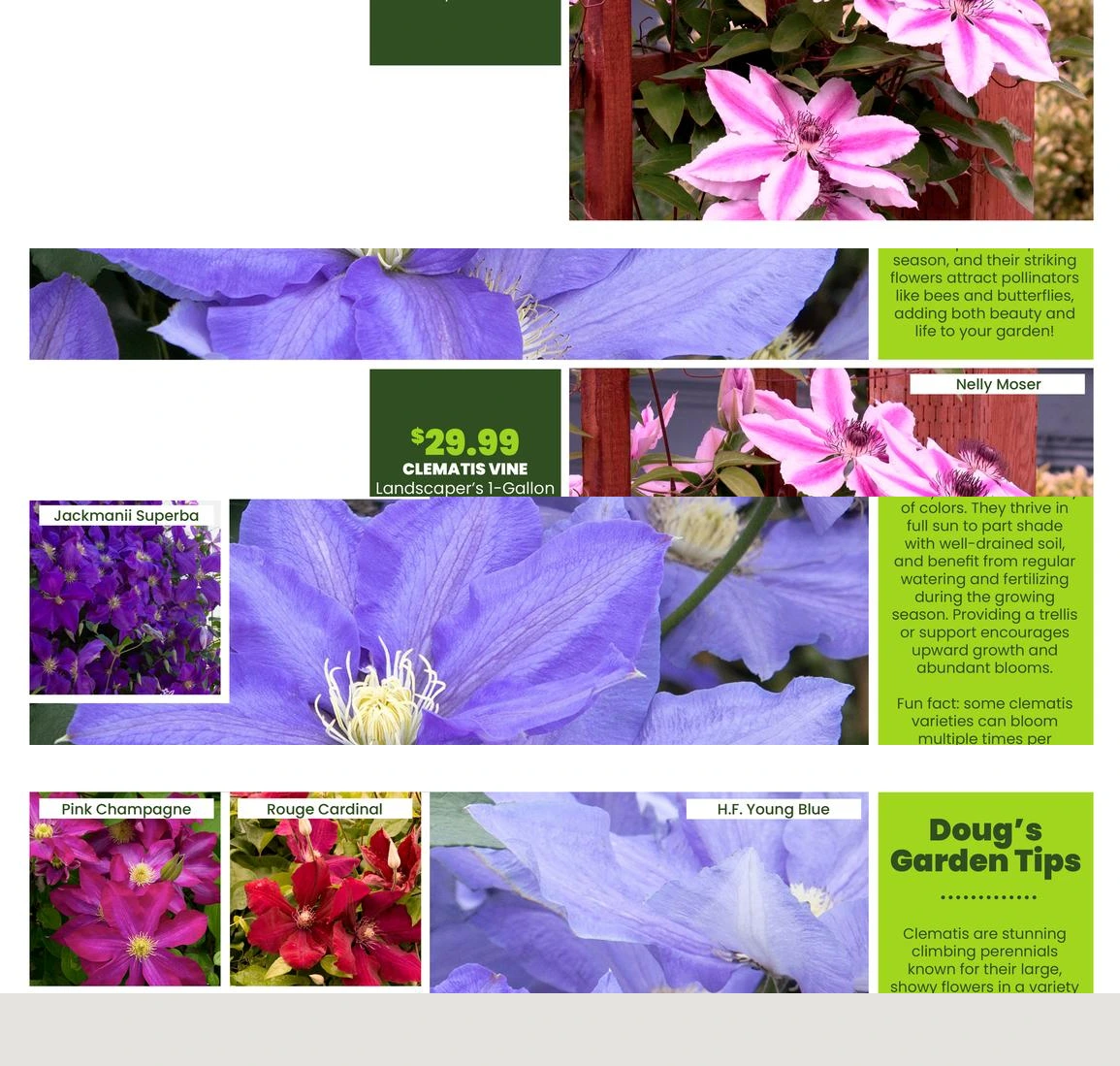 Flyer page 38