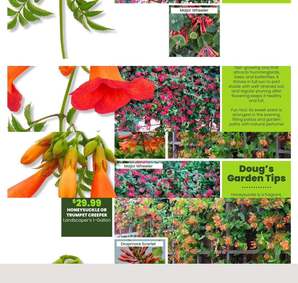Flyer page 39
