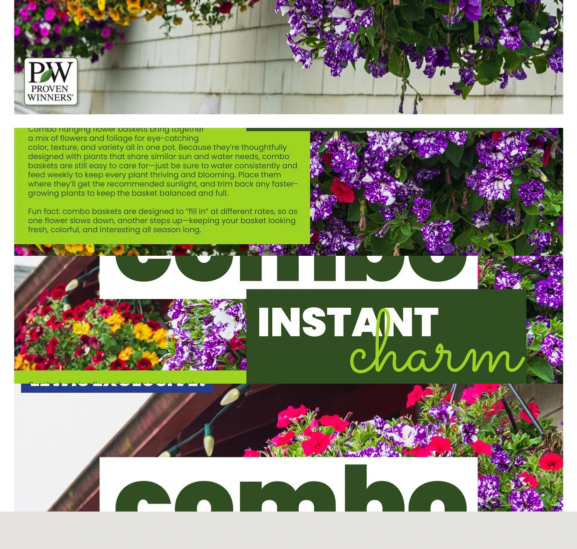 Flyer page 4