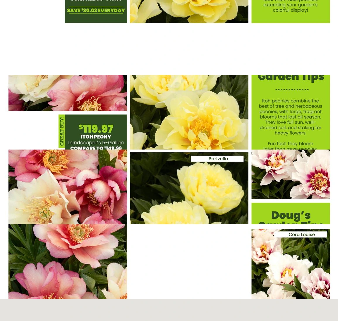 Flyer page 41