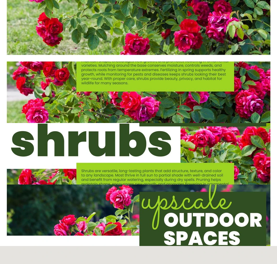 Flyer page 42