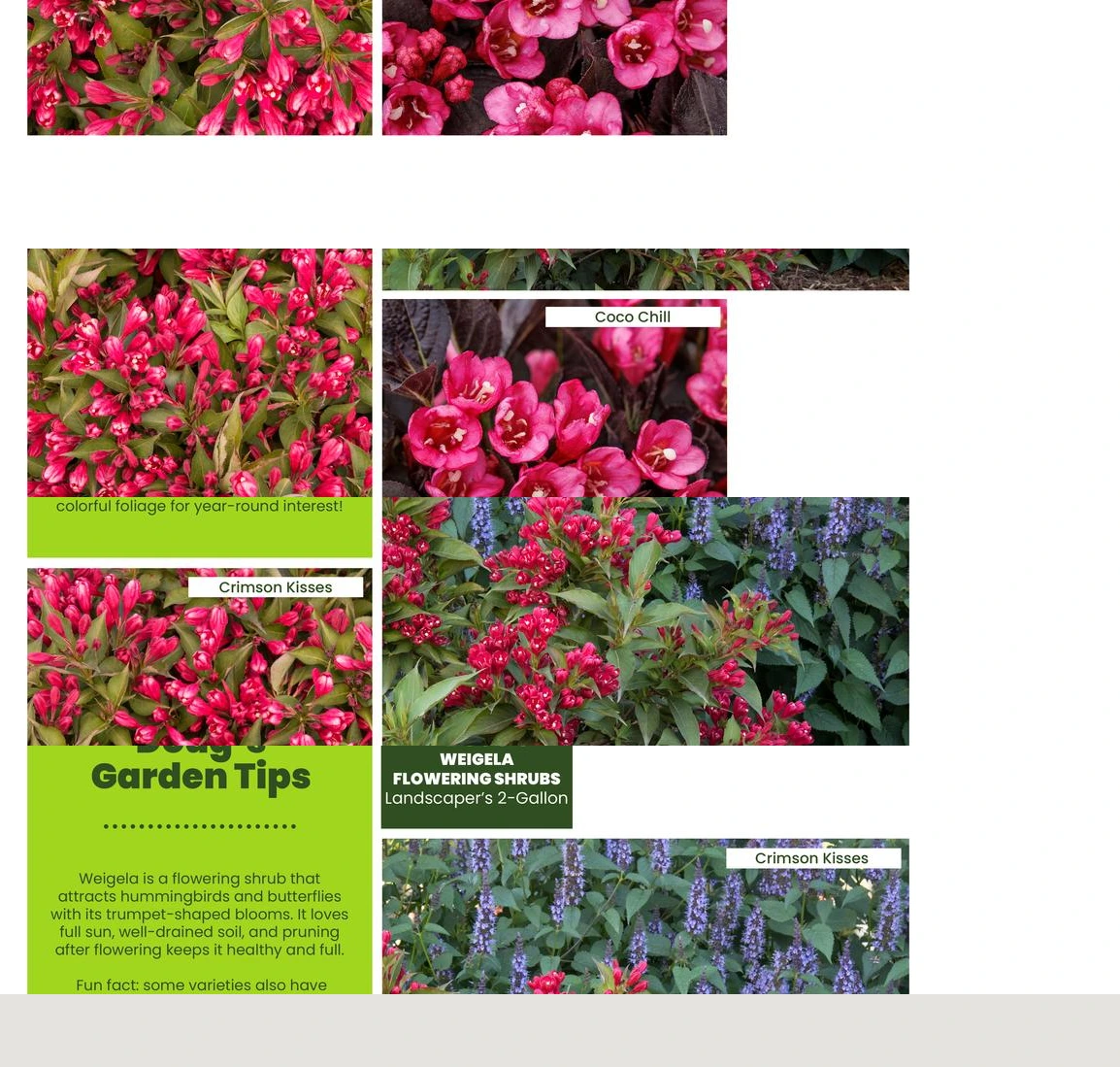 Flyer page 43
