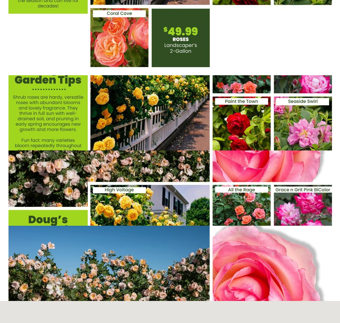 Flyer page 44