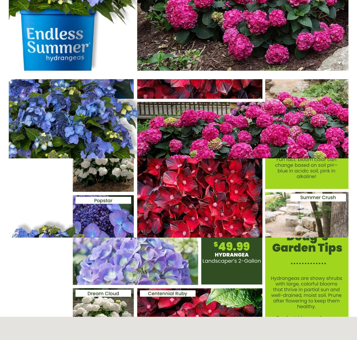 Flyer page 45