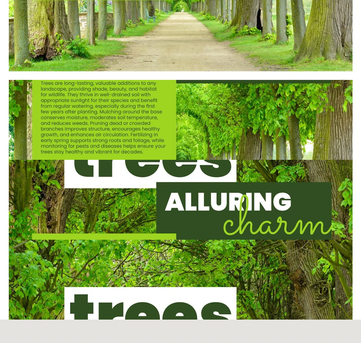 Flyer page 46