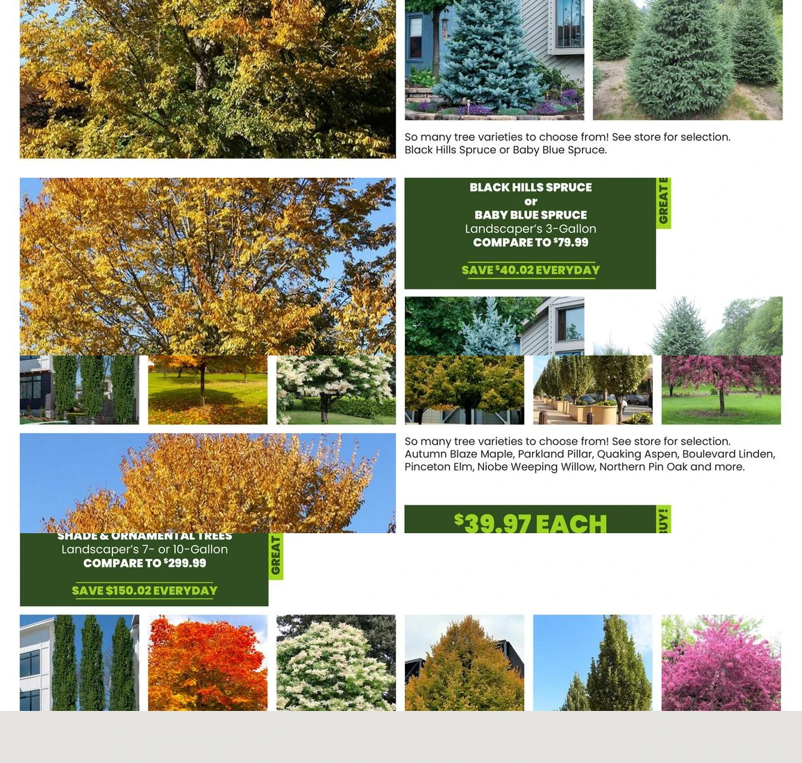Flyer page 48