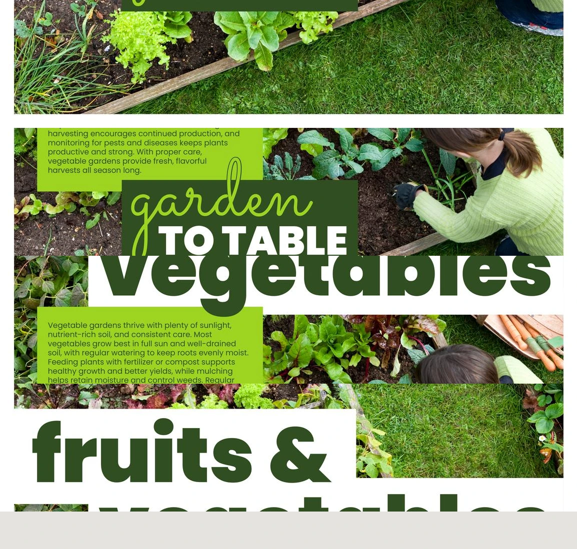 Flyer page 49