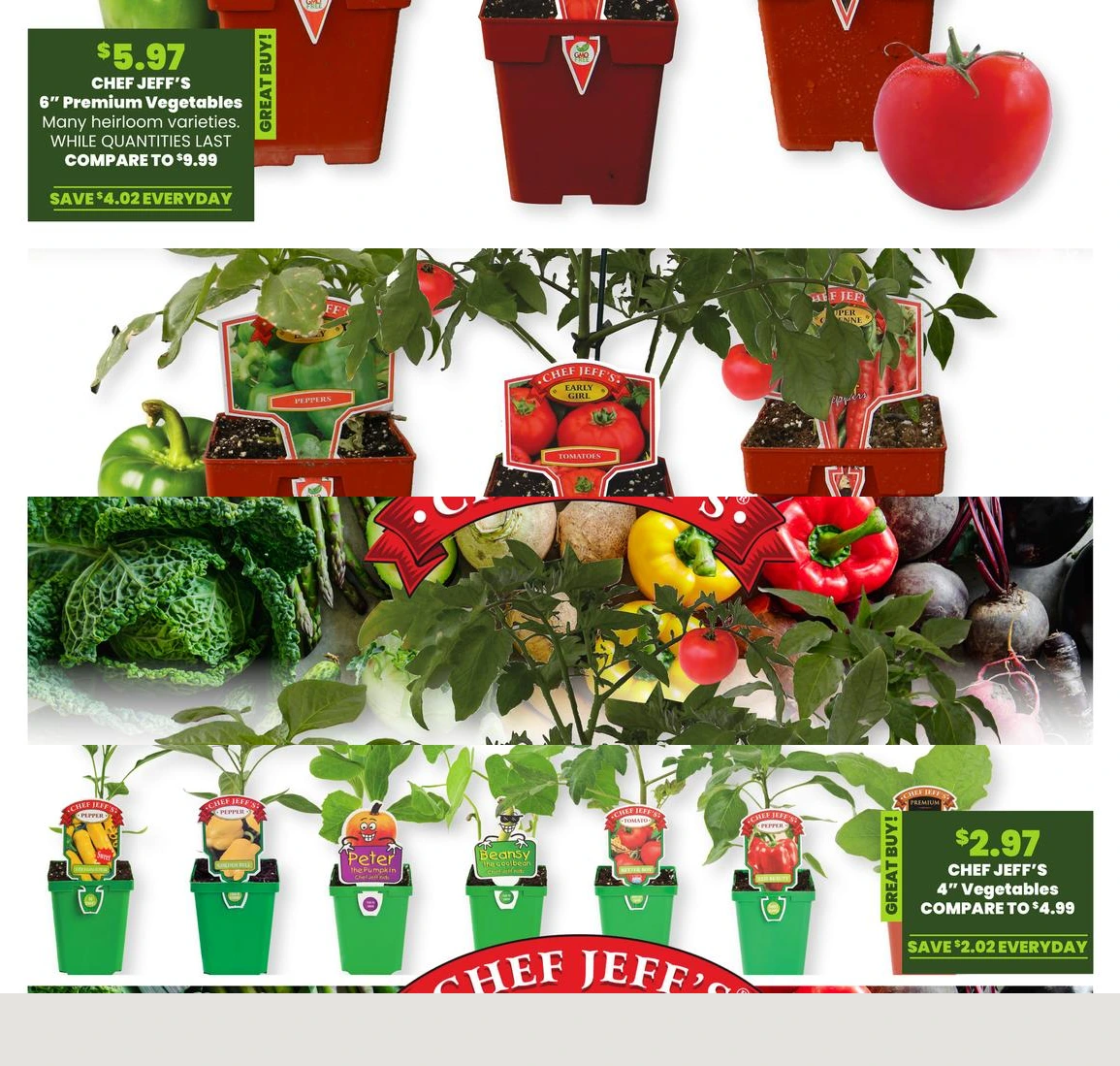 Flyer page 51