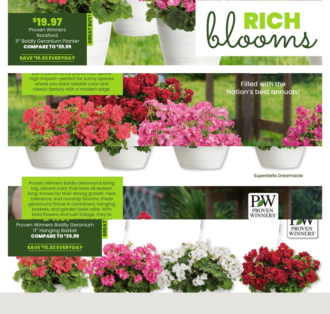 Flyer page 6