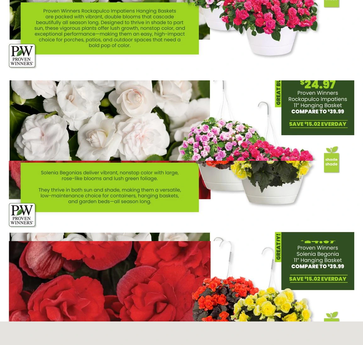 Flyer page 7