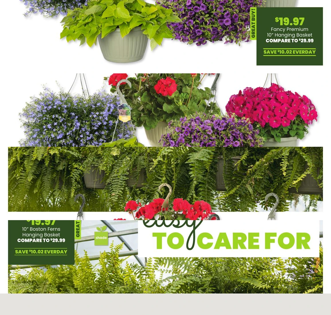 Flyer page 8