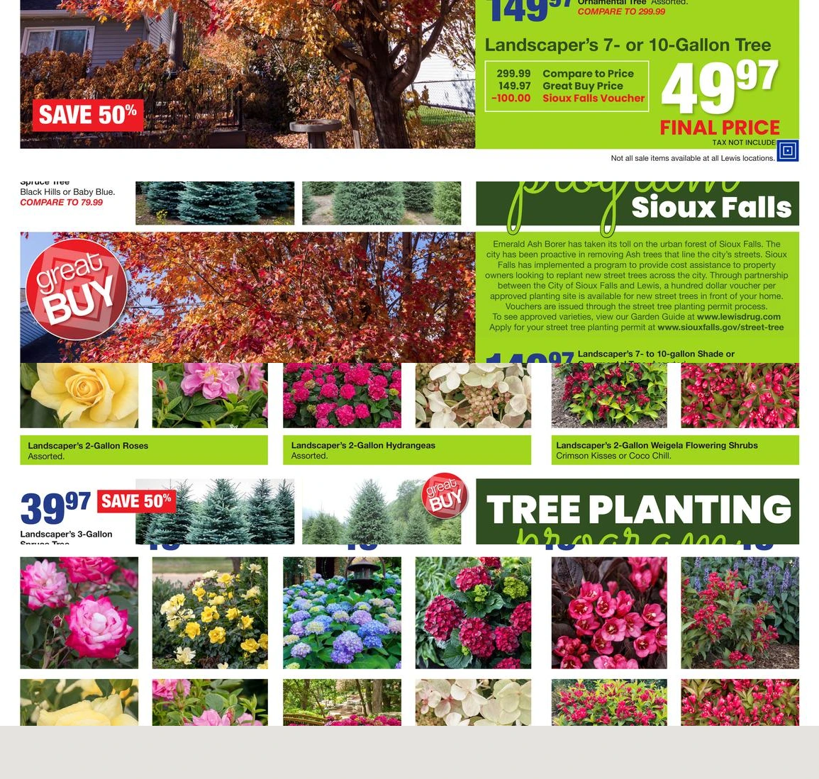 Flyer page 10