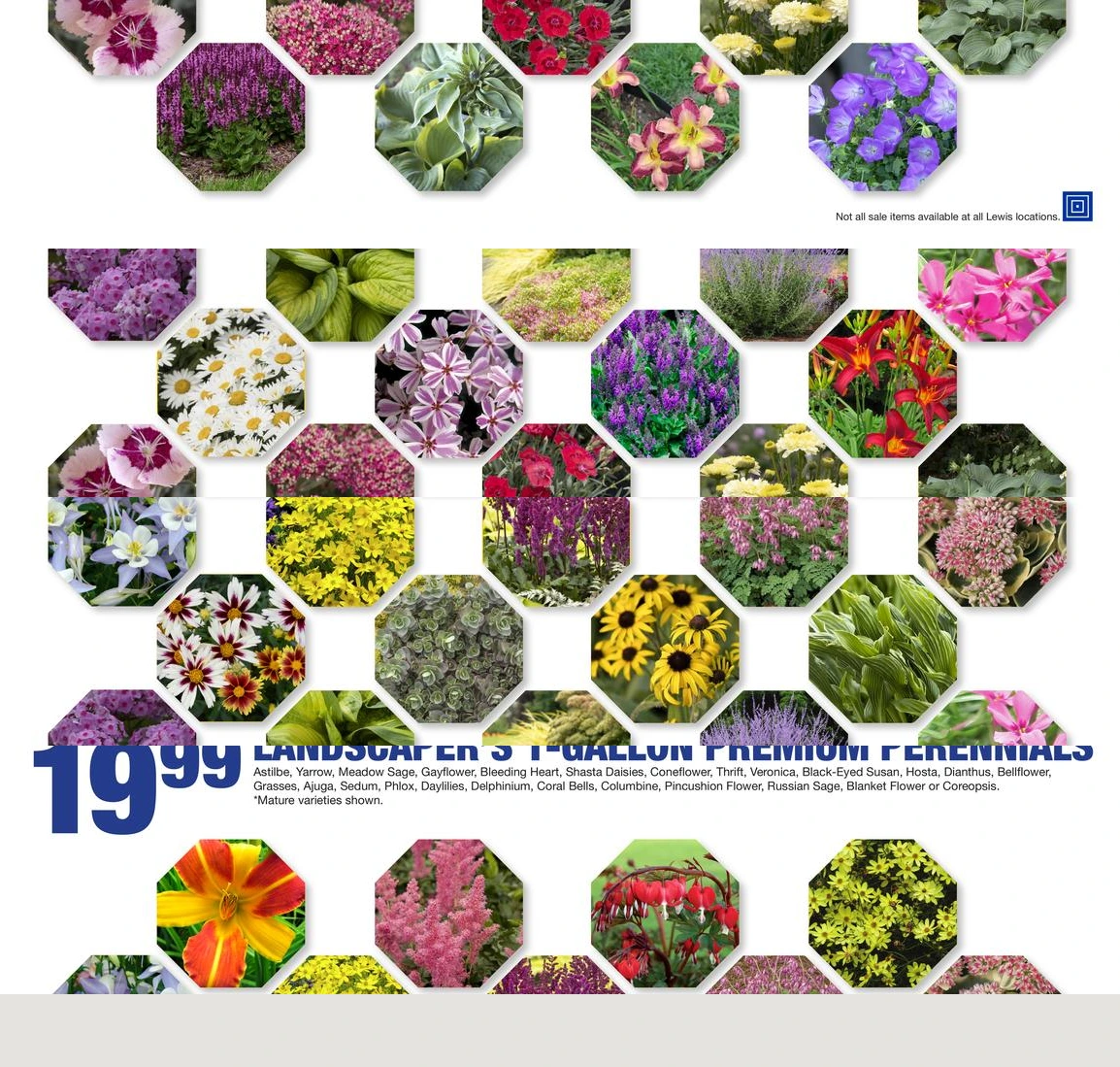 Flyer page 9