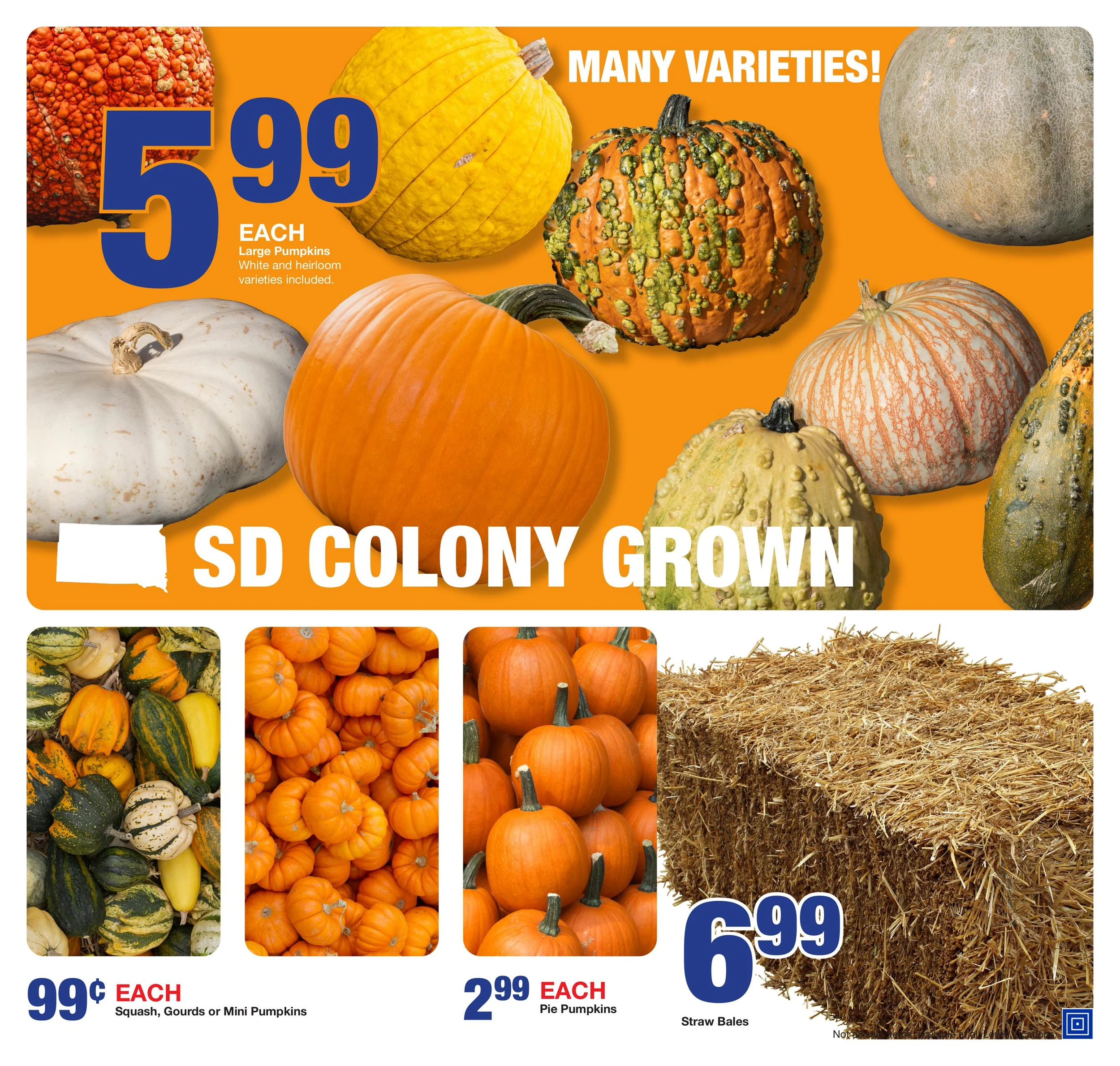 Lewis Drug Weekly Ad - Page 2