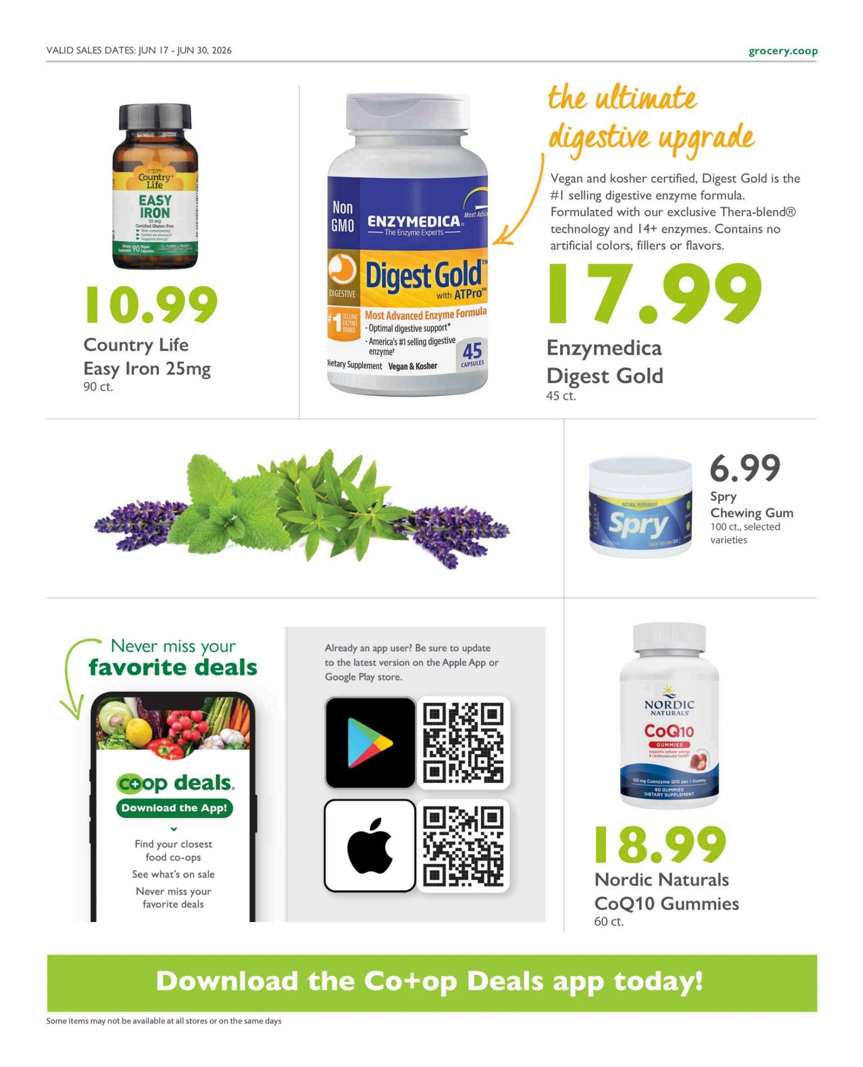 Flyer page 10