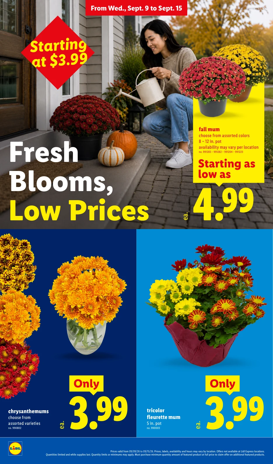 Lidl Weekly Ad - 9/9/2026 - 9/15/2026 - Page 22