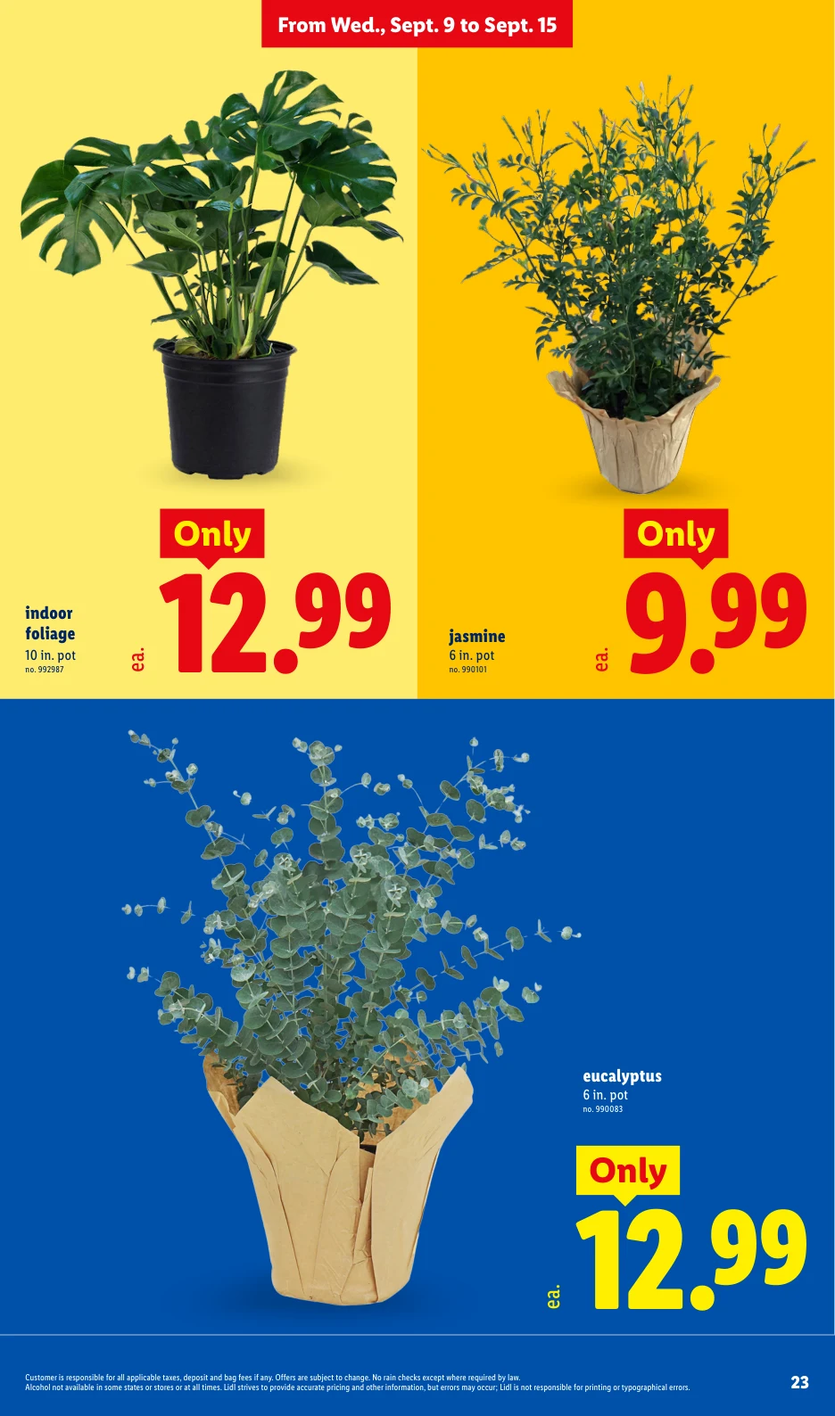 Lidl Weekly Ad - 9/9/2026 - 9/15/2026 - Page 23