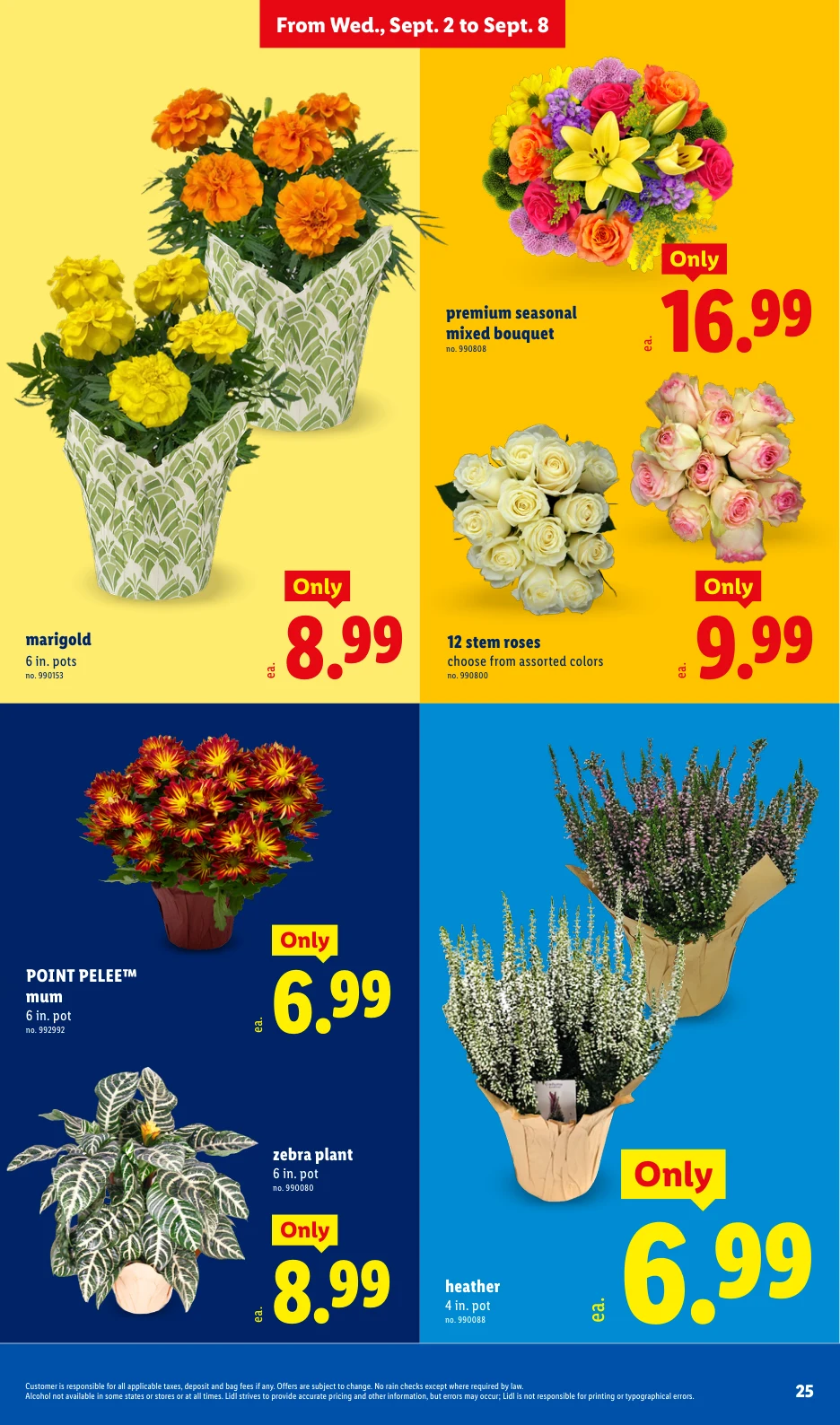 Lidl Weekly Ad - 9/2/2026 - 9/8/2026 - Page 25