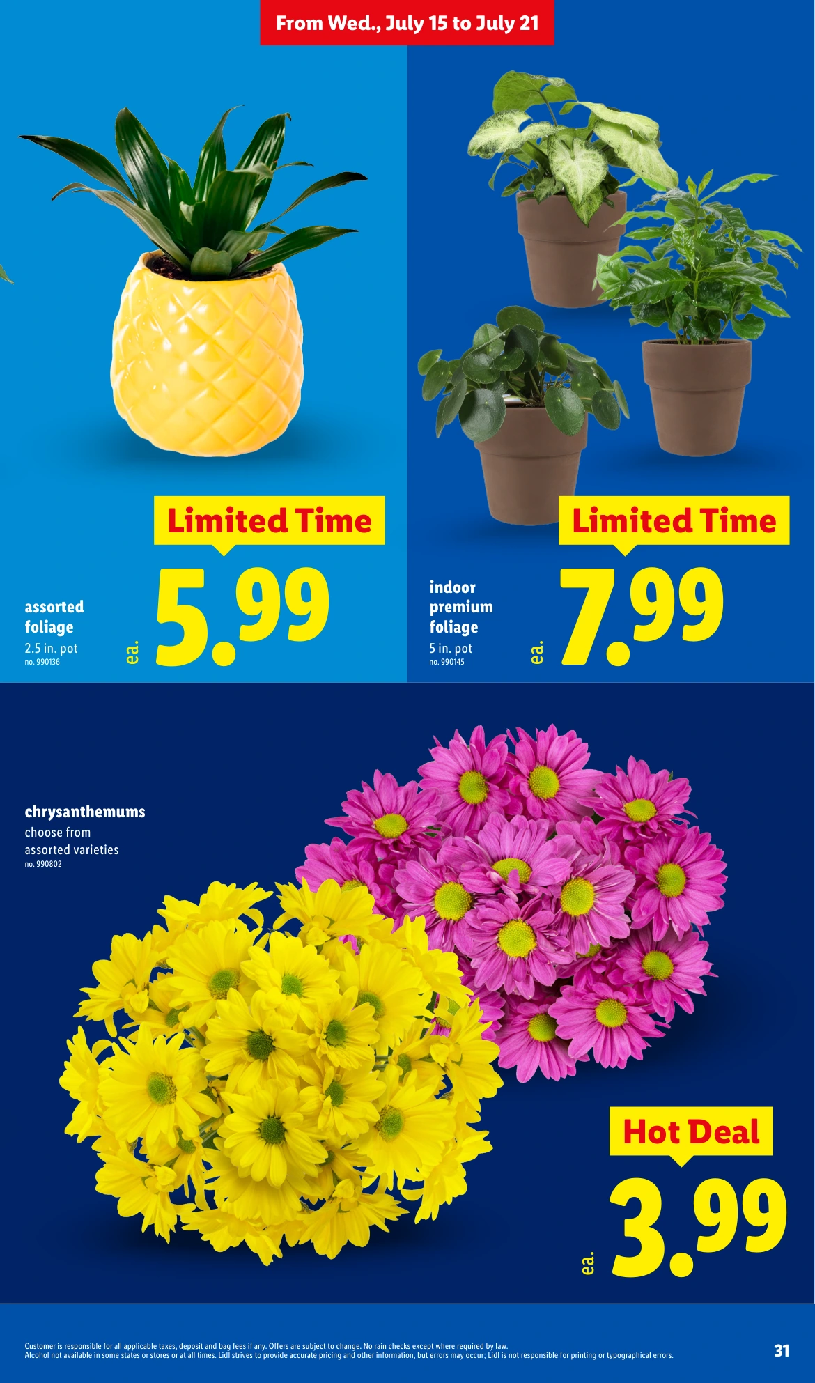 Flyer page 31