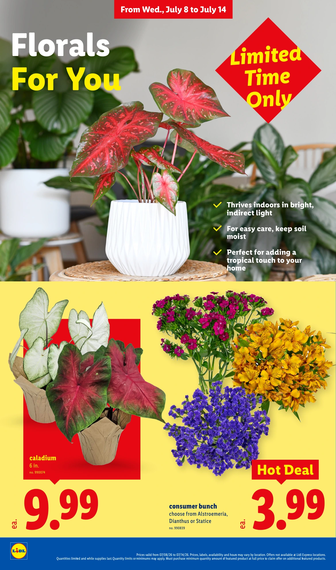 Flyer page 32