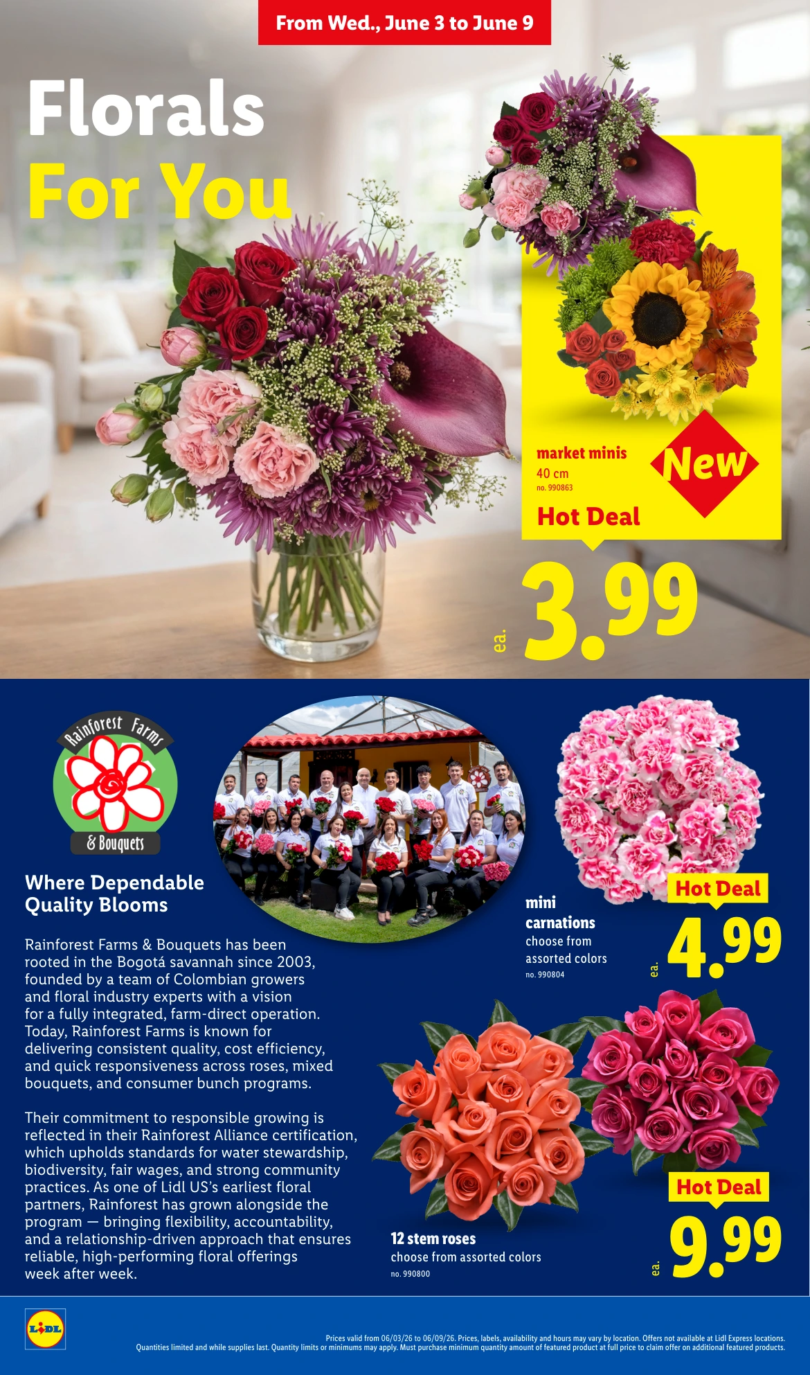 Flyer page 26