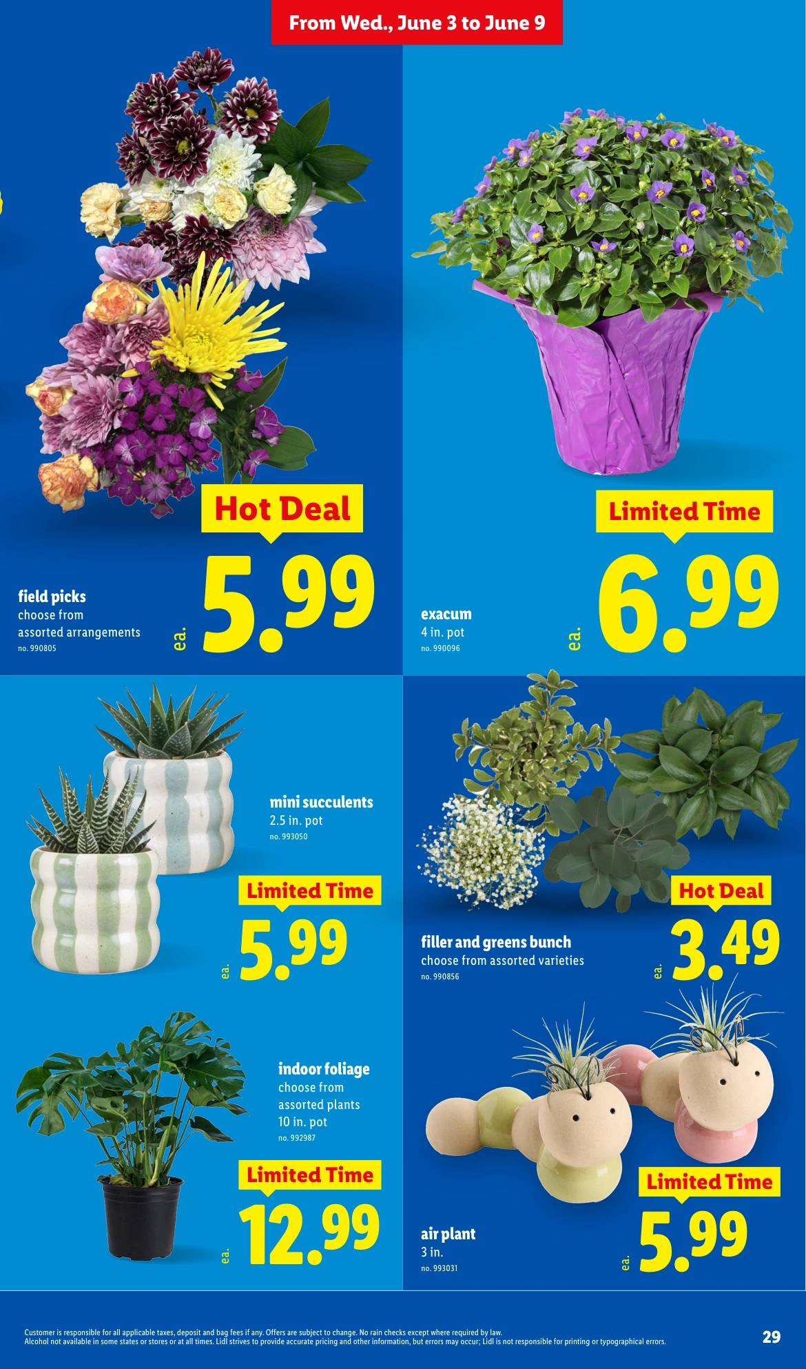 Flyer page 29