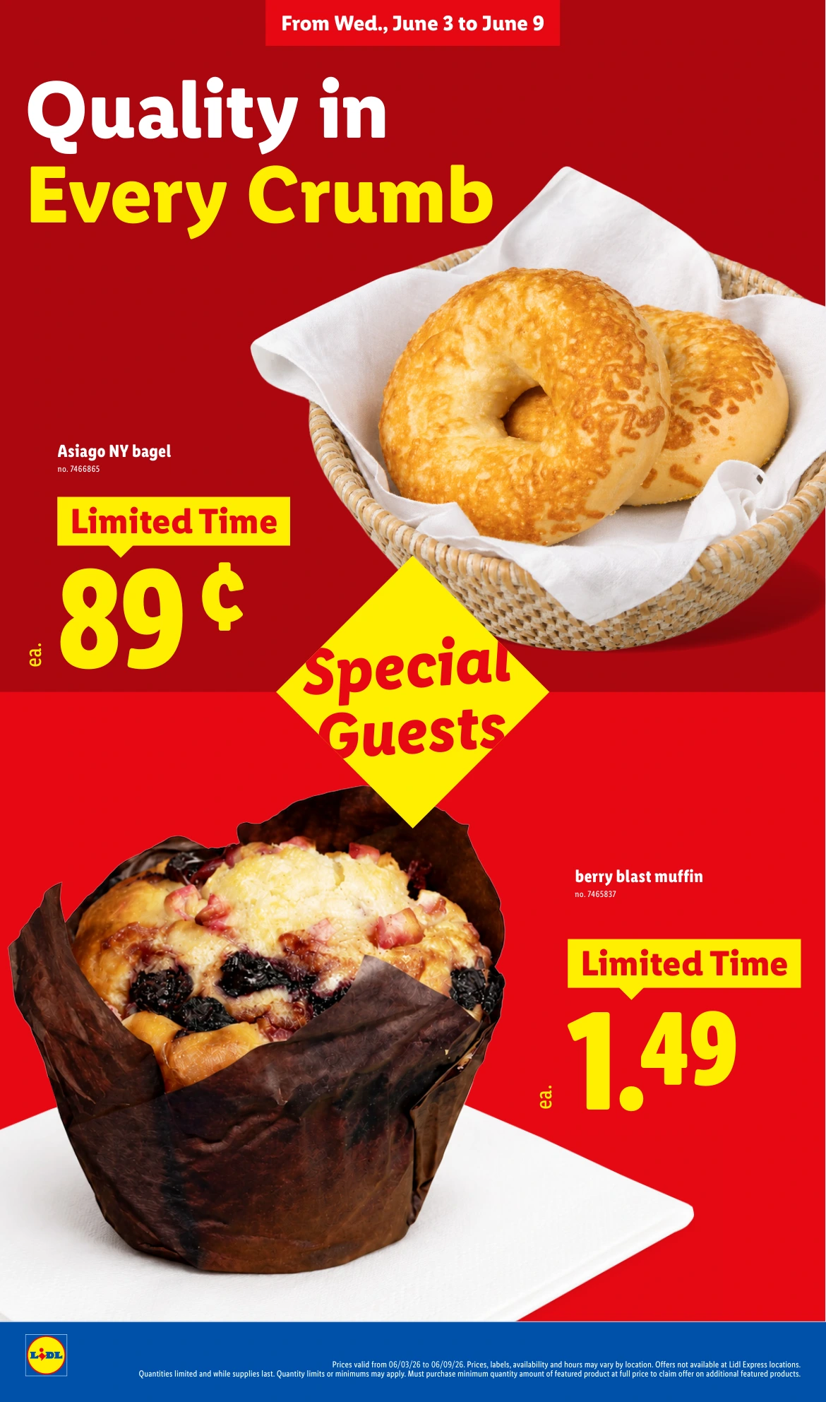 Flyer page 8