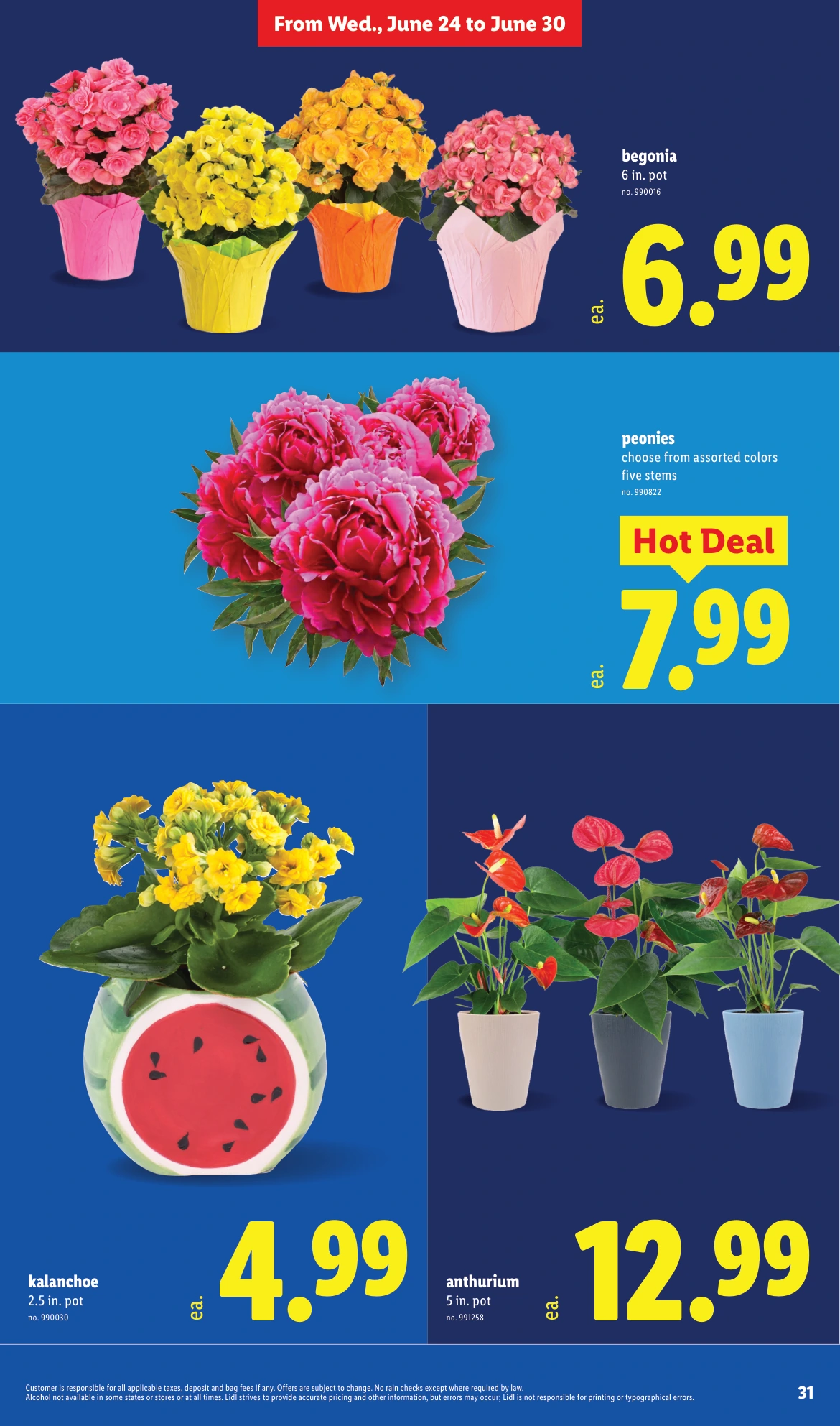 Flyer page 31