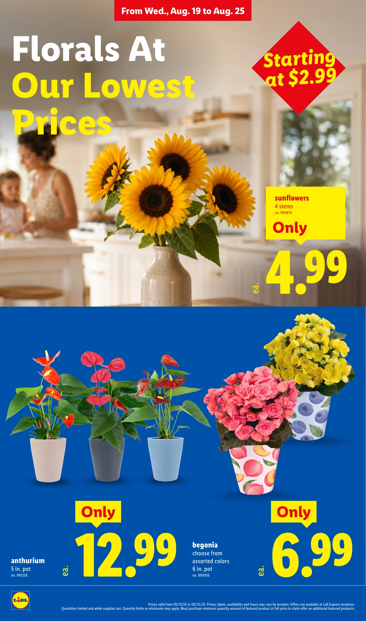 Lidl Weekly Ad - 8/19/2026 - 8/25/2026 - Page 8
